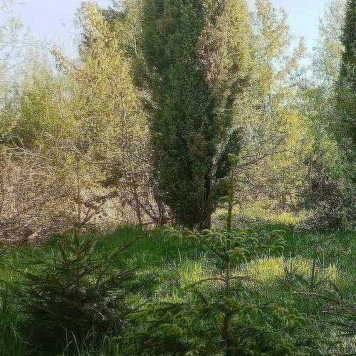 Коттедж/дом Волхов, Строитель-2 СНТ, 100