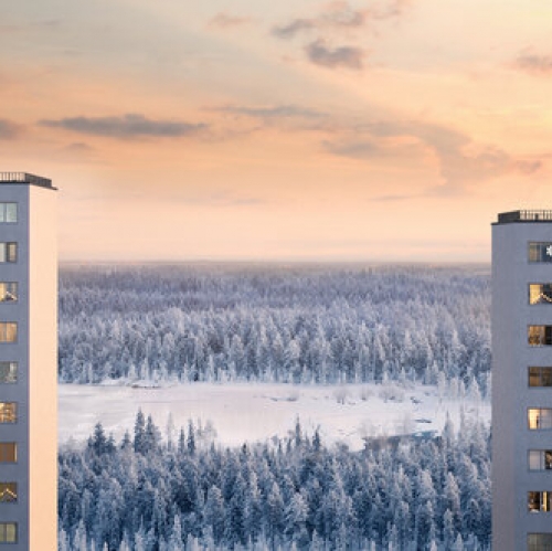 1-комн квартира Васнецовский пр-кт