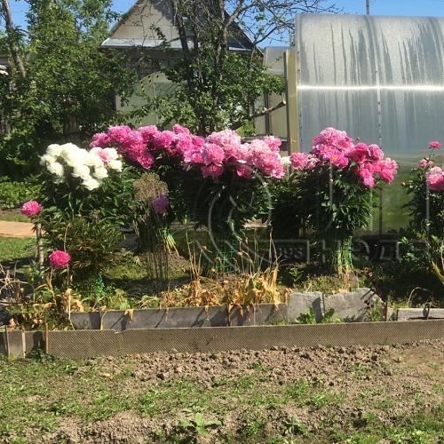 Коттедж/дом Новинка садовое товарищество, 108