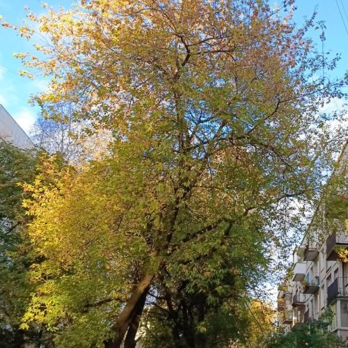 1-комн квартира улица Солдата Корзуна, 30