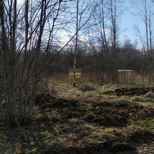 Земельный участок д. Заозерье, 70