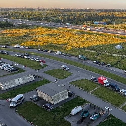 Студия Кудрово г., проспект Строителей, 16