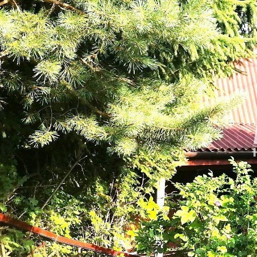 Коттедж/дом Новожилово массив, Орехово СНТ