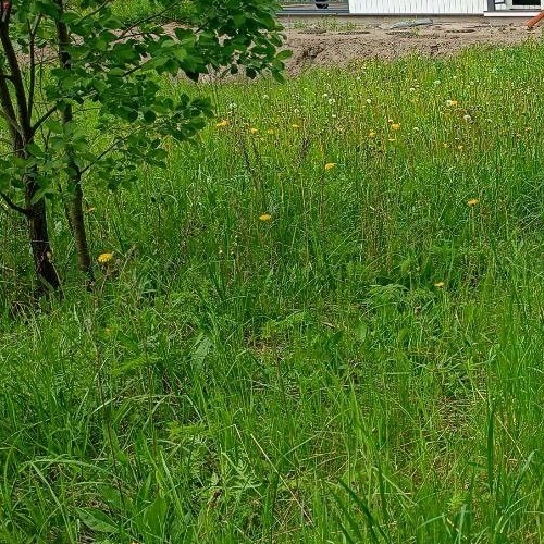 Земельный участок Родные просторы кп, 234