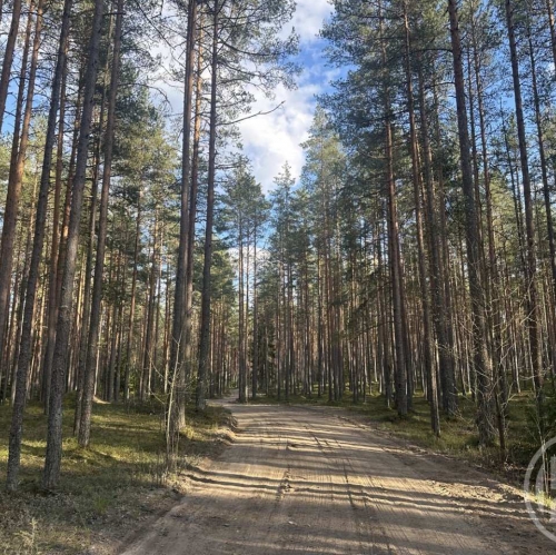 Земельный участок Молодежное снт, Серово пос