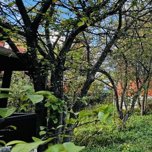 Коттедж/дом Мяглово-Карьер садоводческий массив, Керамика СНТ, 16-я линия,  д. 691