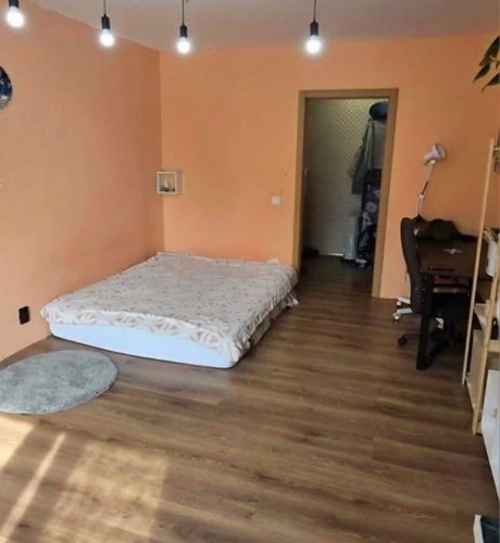 1-комн квартира Красное Село, Гатчинское шоссе, 8к2