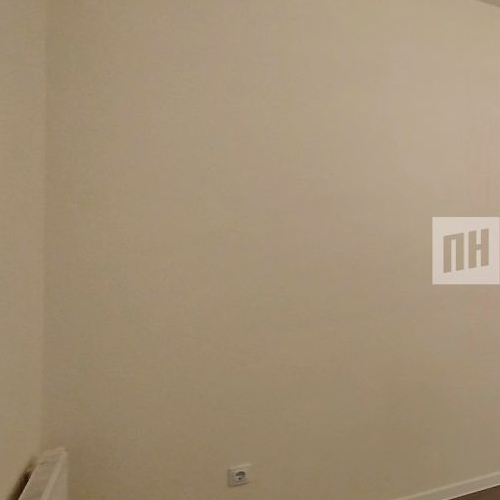 1-комн квартира д. Новосаратовка, улица Первых, 4к1