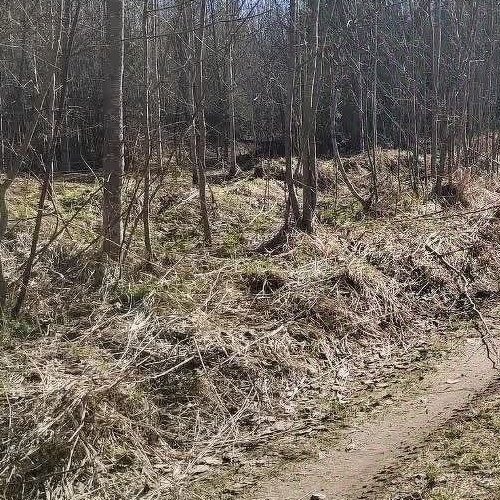 Земельный участок д. Болотово, 13