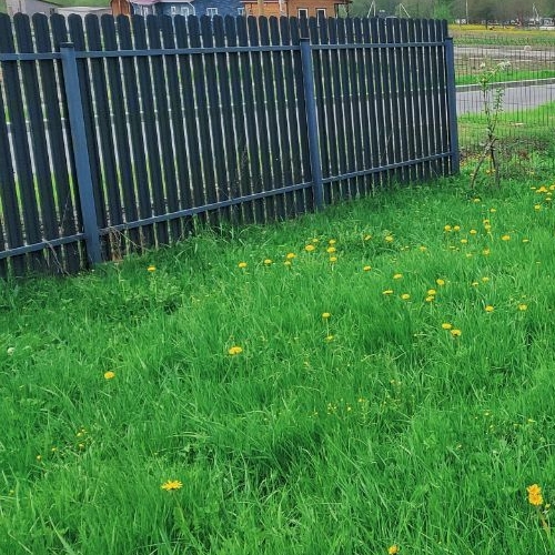 Коттедж/дом пос. Молодцово, улица Дружная,  д. 4