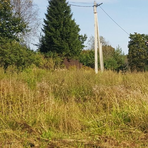 Коттедж/дом д. Долговка, улица Ленина, 1