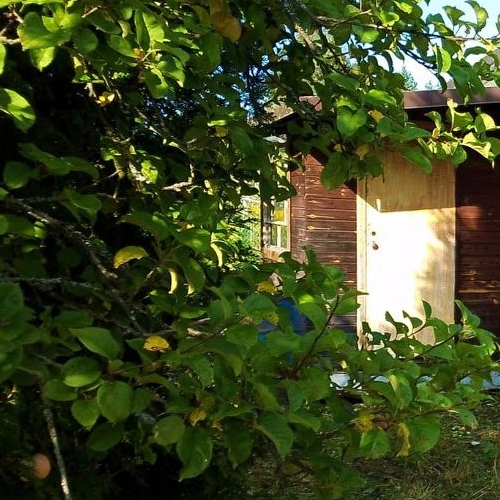 Коттедж/дом Посадников остров садоводческий массив, Магистраль СНТ, 7-я линия