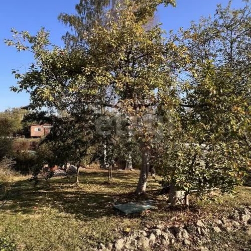 Коттедж/дом Солнечный СНТ, улица Клубничная