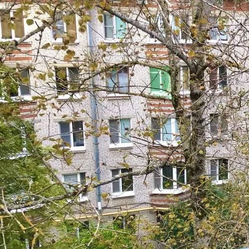 1-комн квартира Кириши, улица Мира, 27