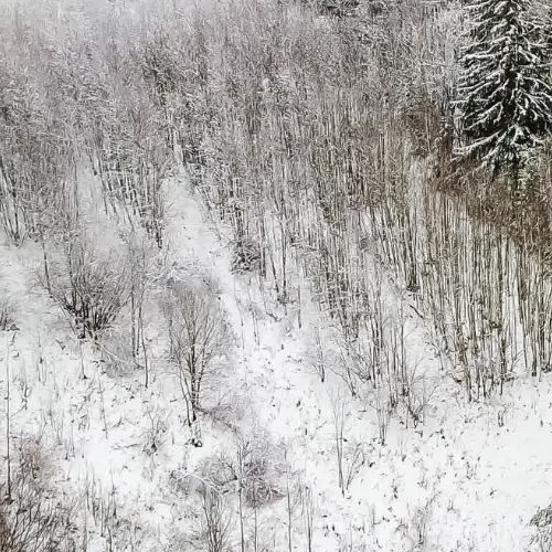 Земельный участок д. Юкки, улица Спортивная