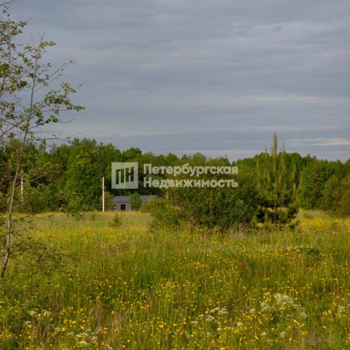 Земельный участок деревня Сологубовка, деревня Сологубовка, , д 83,  д. 83