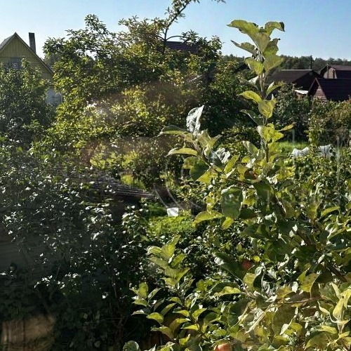 Коттедж/дом Волхов, Восход СНТ, улица Грушевая, 223