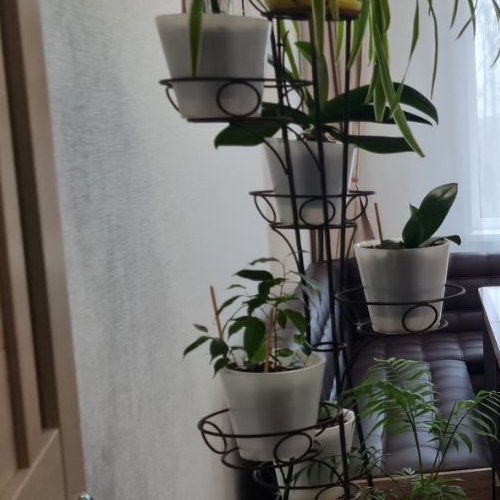 3-комн квартира Петергоф, улица Парковая, 14к4