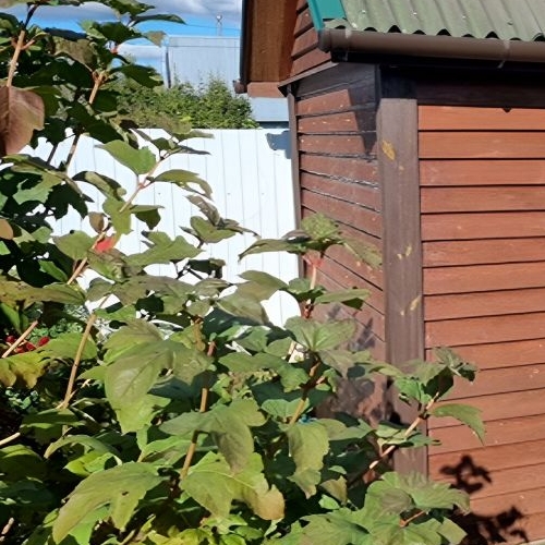 Коттедж/дом Новинка садоводческий массив, Парус СНТ, 1-я линия