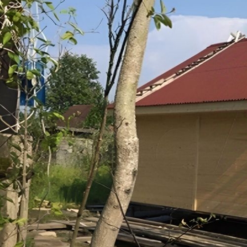 Коттедж/дом Михайловский садоводческий массив, Чайка-М СНТ