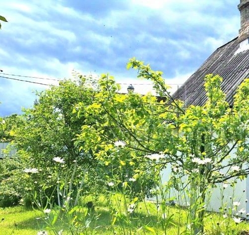 Коттедж/дом Ларионовское СНТ, 104