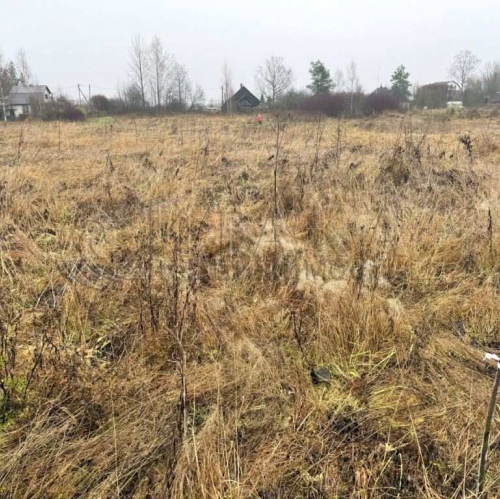 Земельный участок Озертицы, Озертицы д.