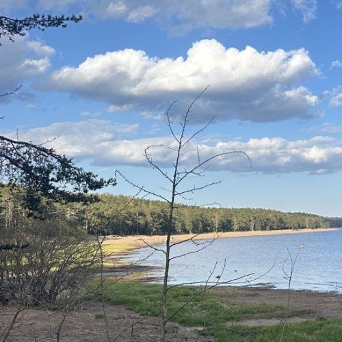 Земельный участок пос. Серово, Молодежное СНТ, проезд 1-й