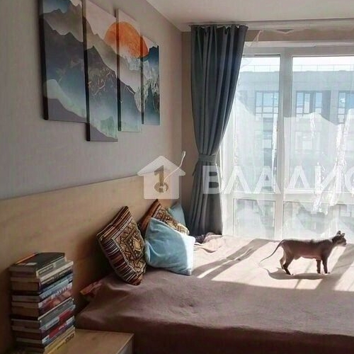 Студия пос. Парголово, проезд Толубеевский, 8к2