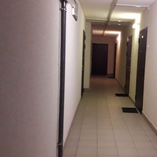 Студия Мурино, улица Шувалова, 14