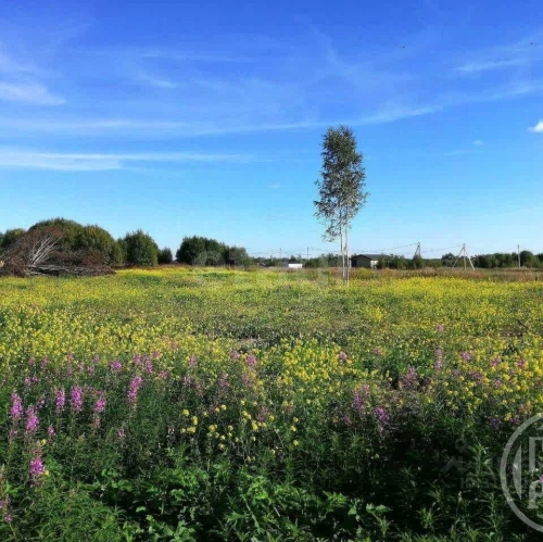 Земельный участок Волковицы д