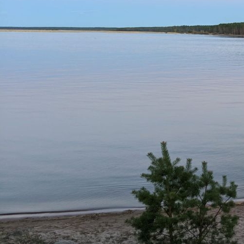 Земельный участок пос. Соловьево, 41