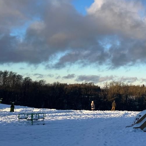 Земельный участок д. Оржицы, улица Леволовская