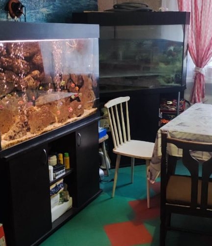 Комната проспект Кузнецова, 17