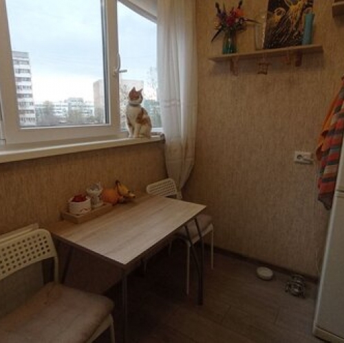 1-комн квартира Художников пр-кт,  д. 24,  к. 3