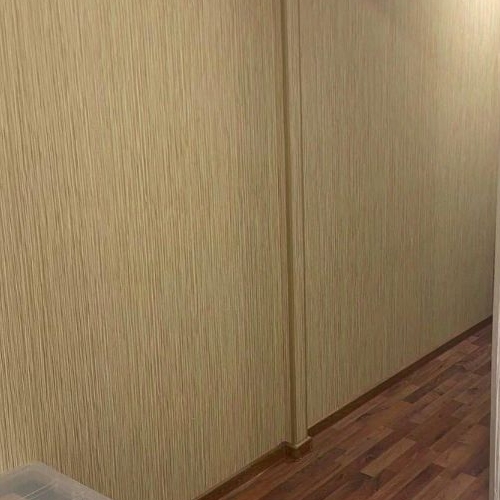 Студия пос. Парголово, улица Архитектора Белова, 6к5