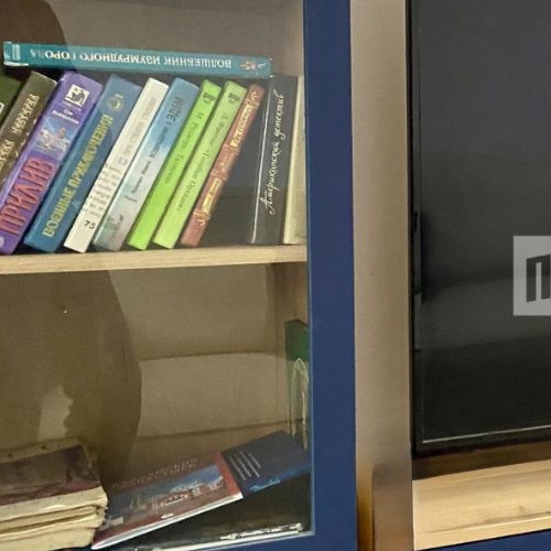 Студия проспект Ветеранов, 204