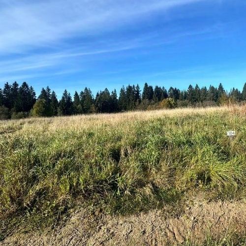 Земельный участок Елки тер., Кискелово массив