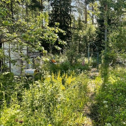 Коттедж/дом Рощино пгт, Лесное СНТ