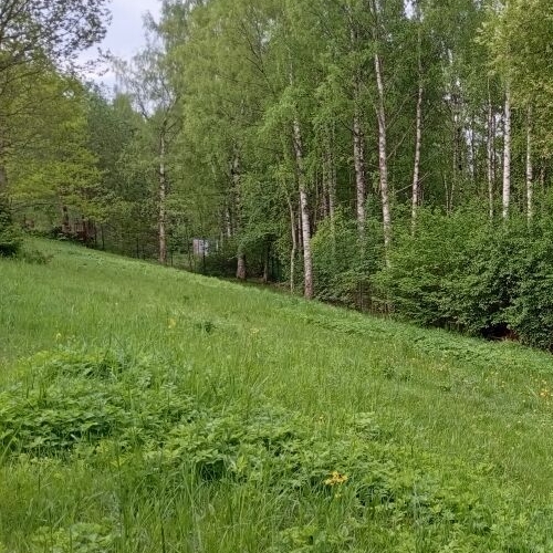 Земельный участок Ключи СНТ