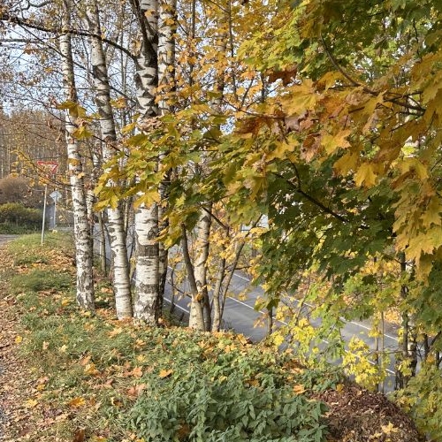 Земельный участок д. Канисты, улица Полевая