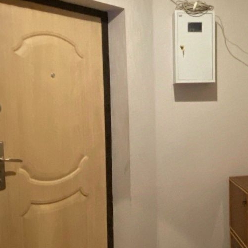 1-комн квартира Невская Дубровка городской поселок, улица Советская, 21