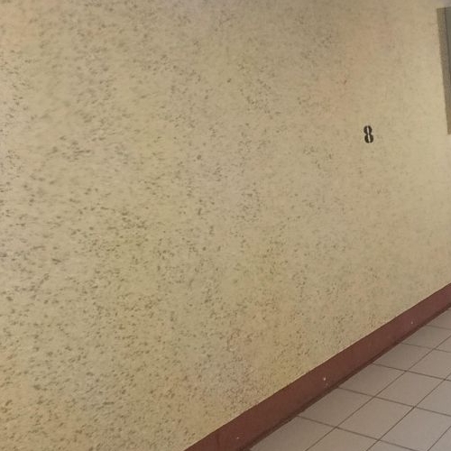 1-комн квартира Всеволожск, Колтушское шоссе, 44к1