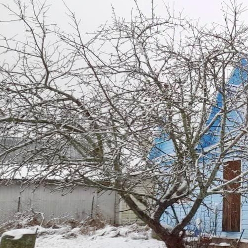 Коттедж/дом Новинка садоводческий массив, Энергия СНТ, 3-я линия