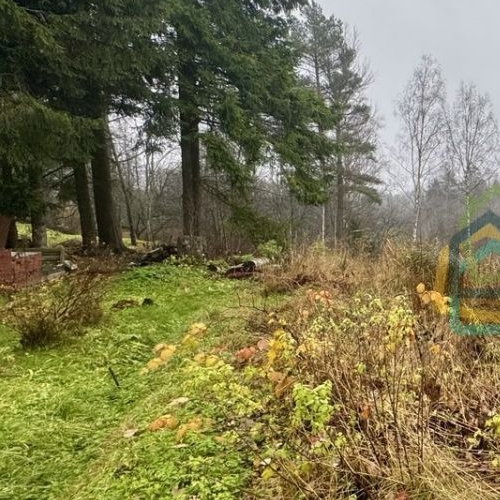 Земельный участок Горы-1 садоводческий массив, Геолог СНТ, 16