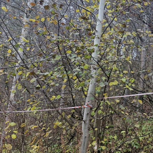 Земельный участок д. Порошкино, улица Лебяжья