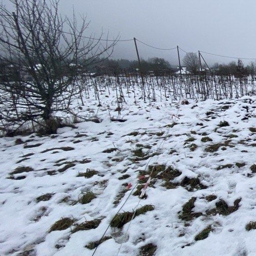 Земельный участок д. Новый Бор, 12