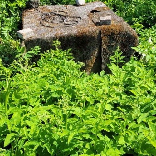 Коттедж/дом пос. Судаково, улица Магистральная, 15Б