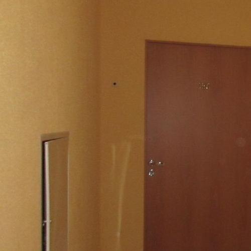 Студия пос. Шушары, Пулковское тер., улица Переведенская, 4к1