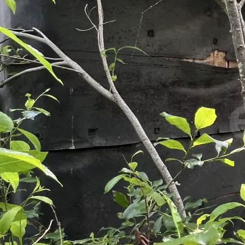 Коттедж/дом Посадников остров садоводческий массив, Дружба-3 СНТ, 23-я линия