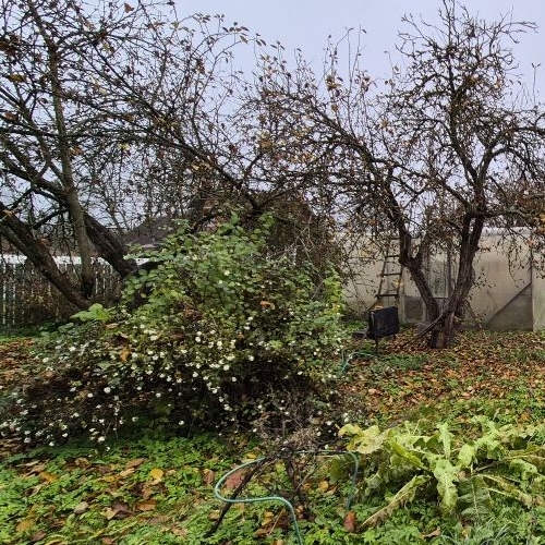 Коттедж/дом пос. Дивенский, улица 25 Октября